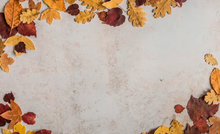 Autumn leaves framing a clean work surface